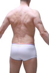 Boxer Morrier Weiß